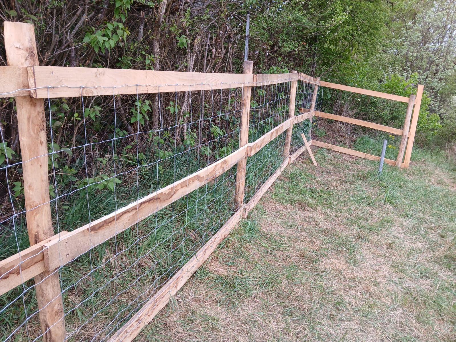 Gartenzaun mit Tür und Eisenbeschlägen