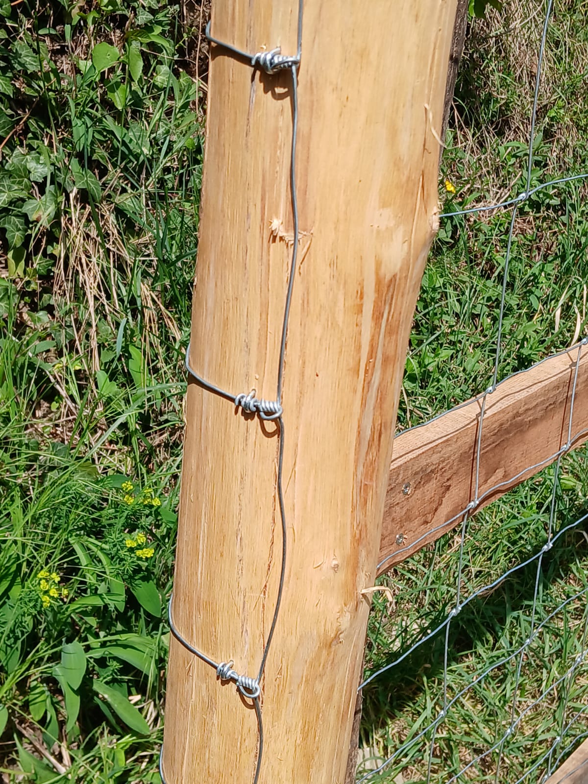 Holzzaun am Gartenweg