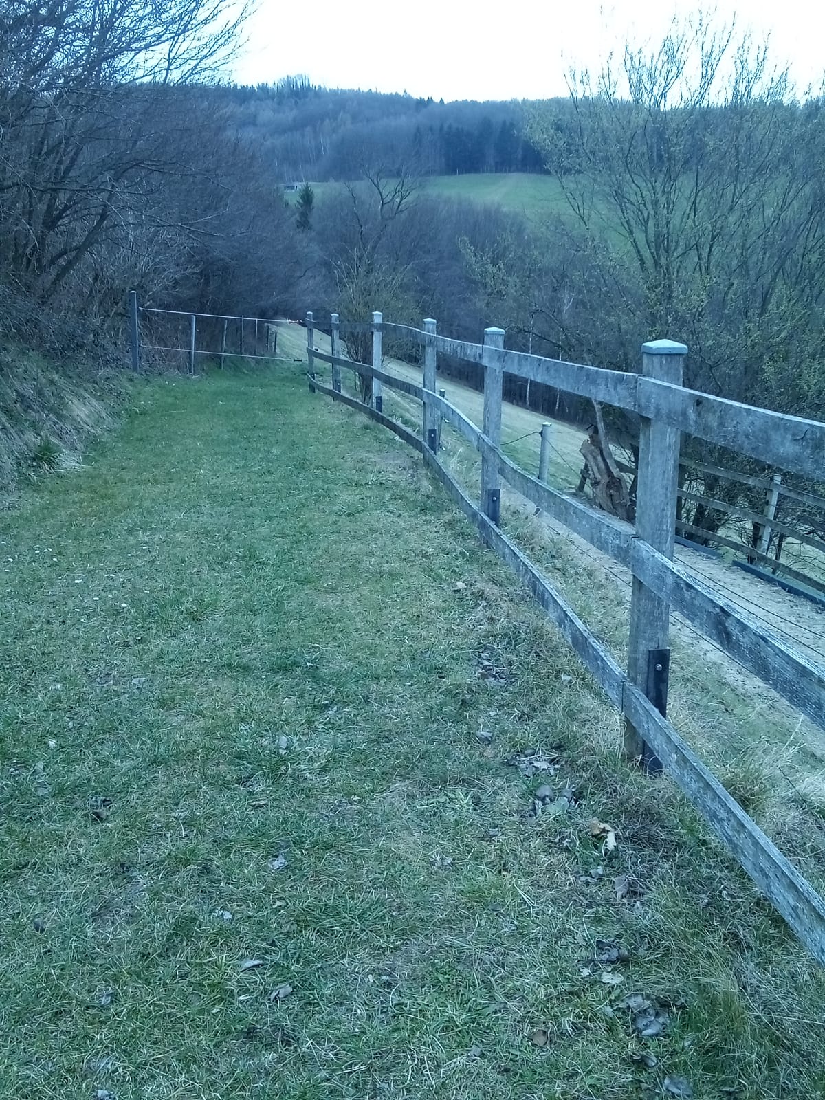 Holzstiege mit Geländer