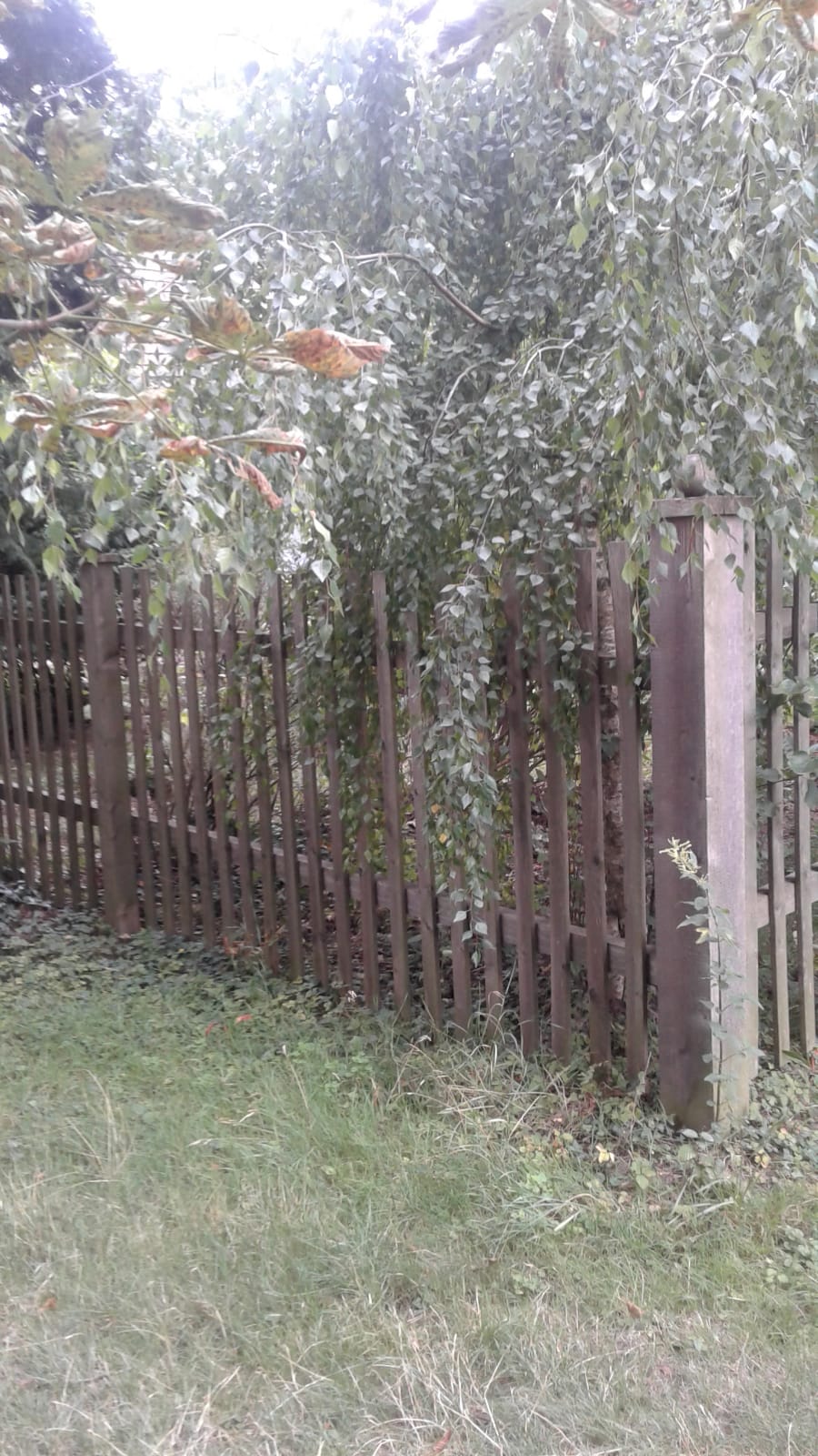 Gartentor Detailansicht